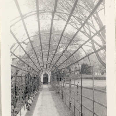 Arbor at Fairlawn