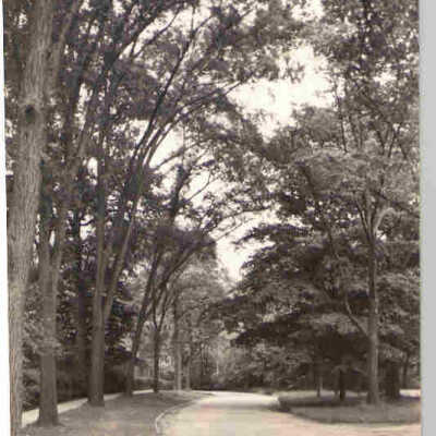 Unidentified street in Lake Forest