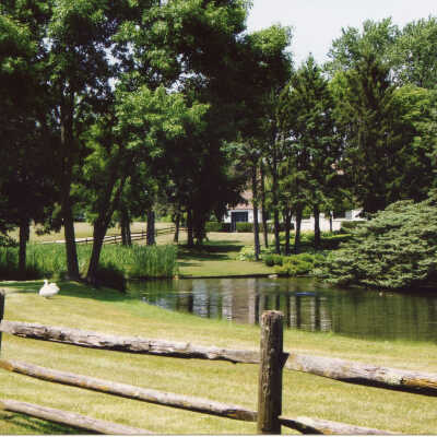 Crab Tree Farm stables