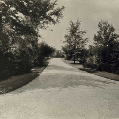 Innisfail 275 Sussex