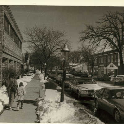 Scranton Avenue, Lake Bluff in winter