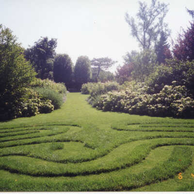 930 East Rosemary garden