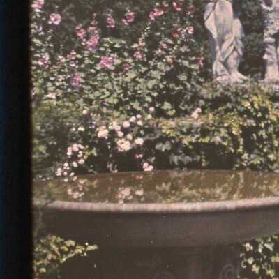 Garden at Havenwood
