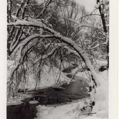 Fairlawn pond in winter