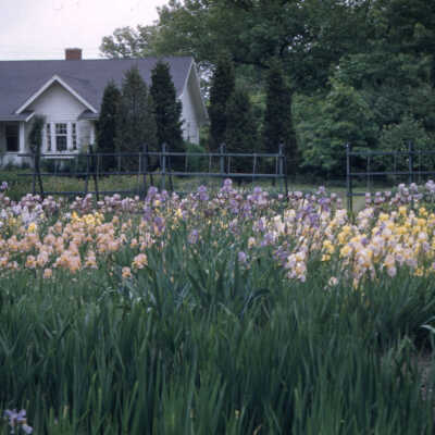 Martin Home