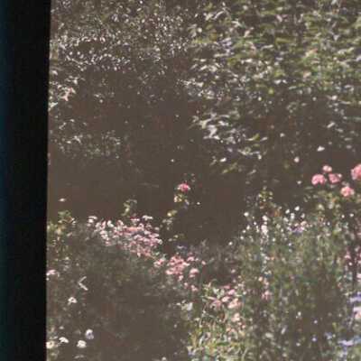 Garden at 1075 East Ringwood Road