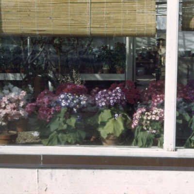 Jahnke Greenhouse