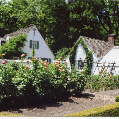 Crab Tree Farm cutting garden