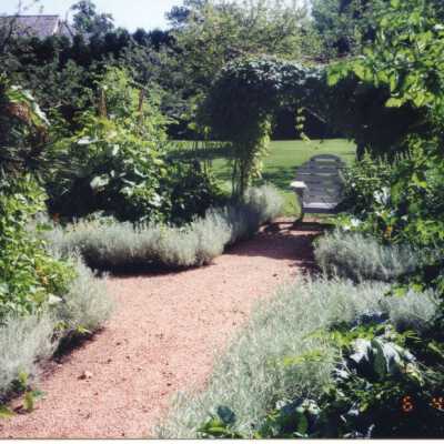 930 East Rosemary garden