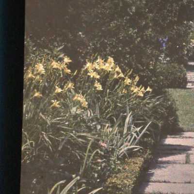 Garden at Havenwood
