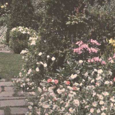 Copyright: Lake Forest Lake Bluff Historical Society