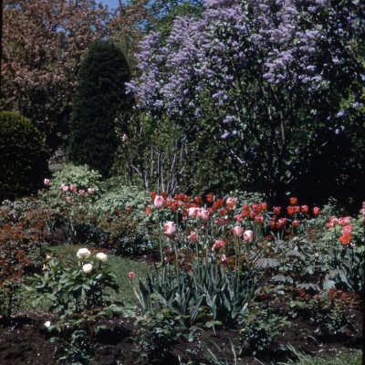 Gardens of Lake Forest