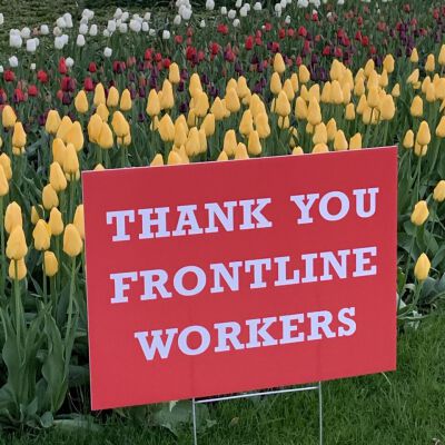 "Tulip thank you"
