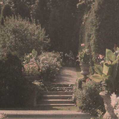 Garden of Havenwood
