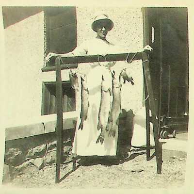 Album, Photograph