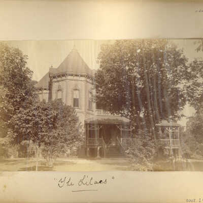 The Lilacs
