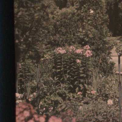 Garden at Havenwood