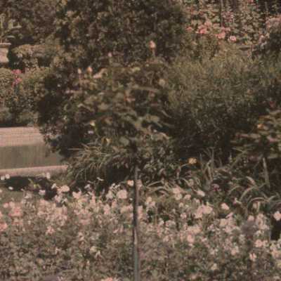 Copyright: Lake Forest Lake Bluff Historical Society