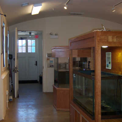 Copyright: Lake Forest-Lake Bluff Historical Society