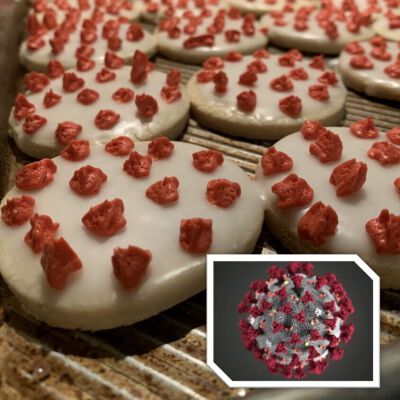 "Coronavirus cookies"