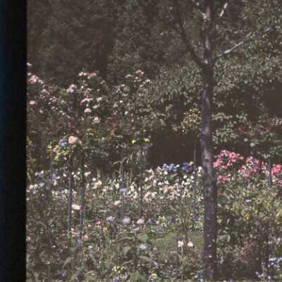 Garden at Havenwood