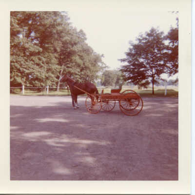 Horse and wagon