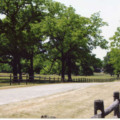 Crab Tree Farm