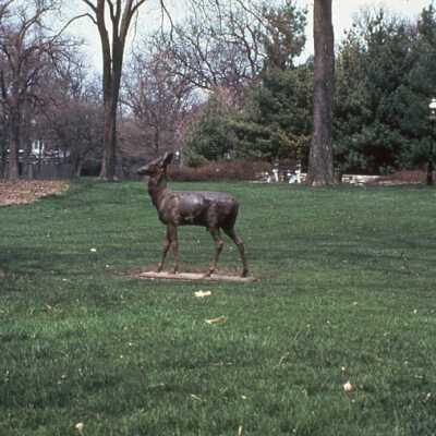 Triangle Park