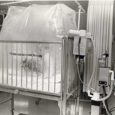 Lake Forest Hospital Records