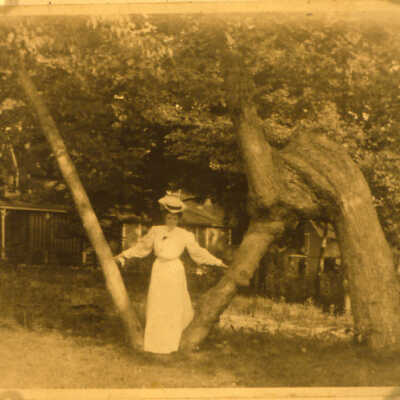 Trail tree