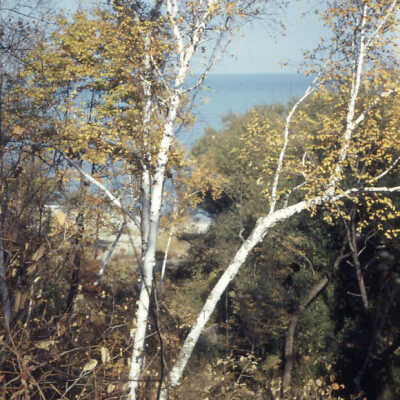 Beach Drive - Forest Park