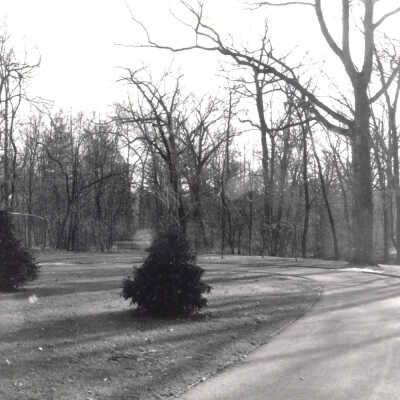 Lake Forest Cemetery