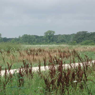 Copyright: Lake Forest-Lake Bluff Historical Society