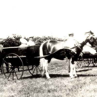 Lake Forest Horse Show