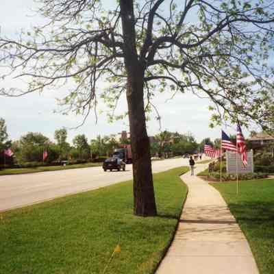 American flags along path