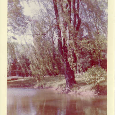 Fairlawn pond
