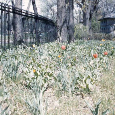 Gardens of Lake Forest