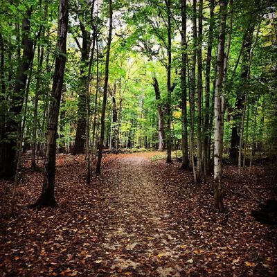 "Out the back door for an evening walk"