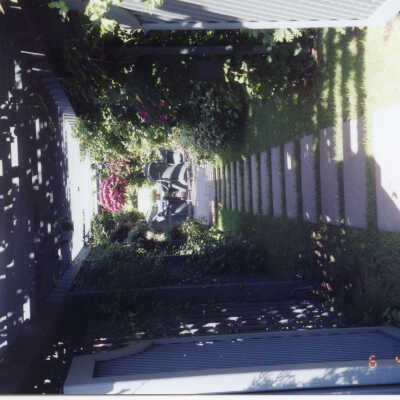 930 East Rosemary garden