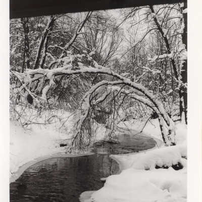 Fairlawn pond in winter