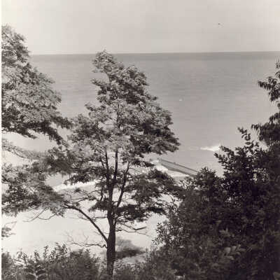 Forest Park Beach