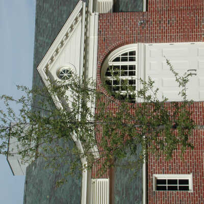 Copyright: Lake Forest-Lake Bluff Historical Society
