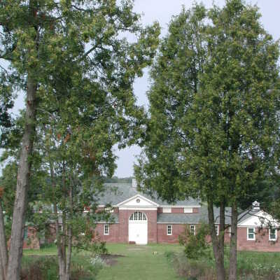 Copyright: Lake Forest-Lake Bluff Historical Society