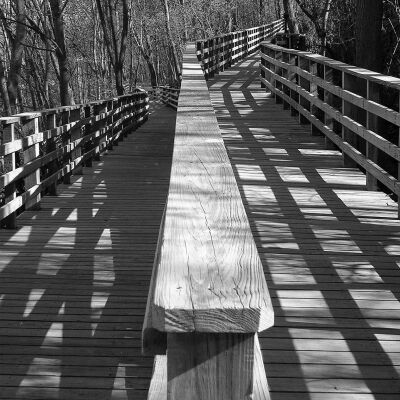 Karyn Szaflarski, 20-64, Sense of Place