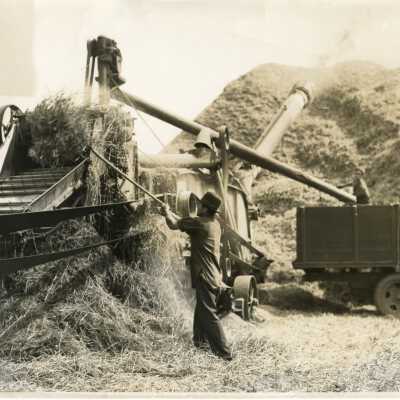 Everett Stock Farm