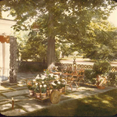 Terrace on Pirie estate