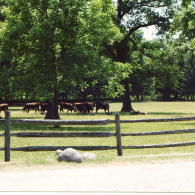 Crab Tree Farm