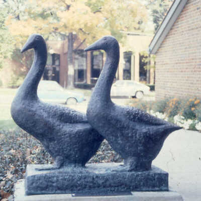 Two Geese
