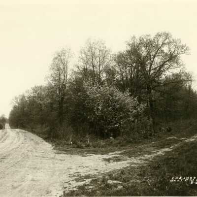 View Northeast at Old Mill Road in west Lake Forest