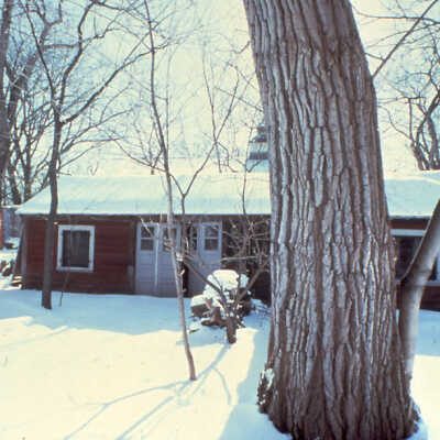 Ragdale
